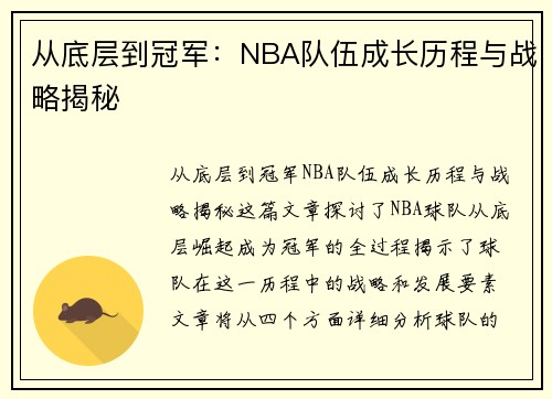 从底层到冠军：NBA队伍成长历程与战略揭秘